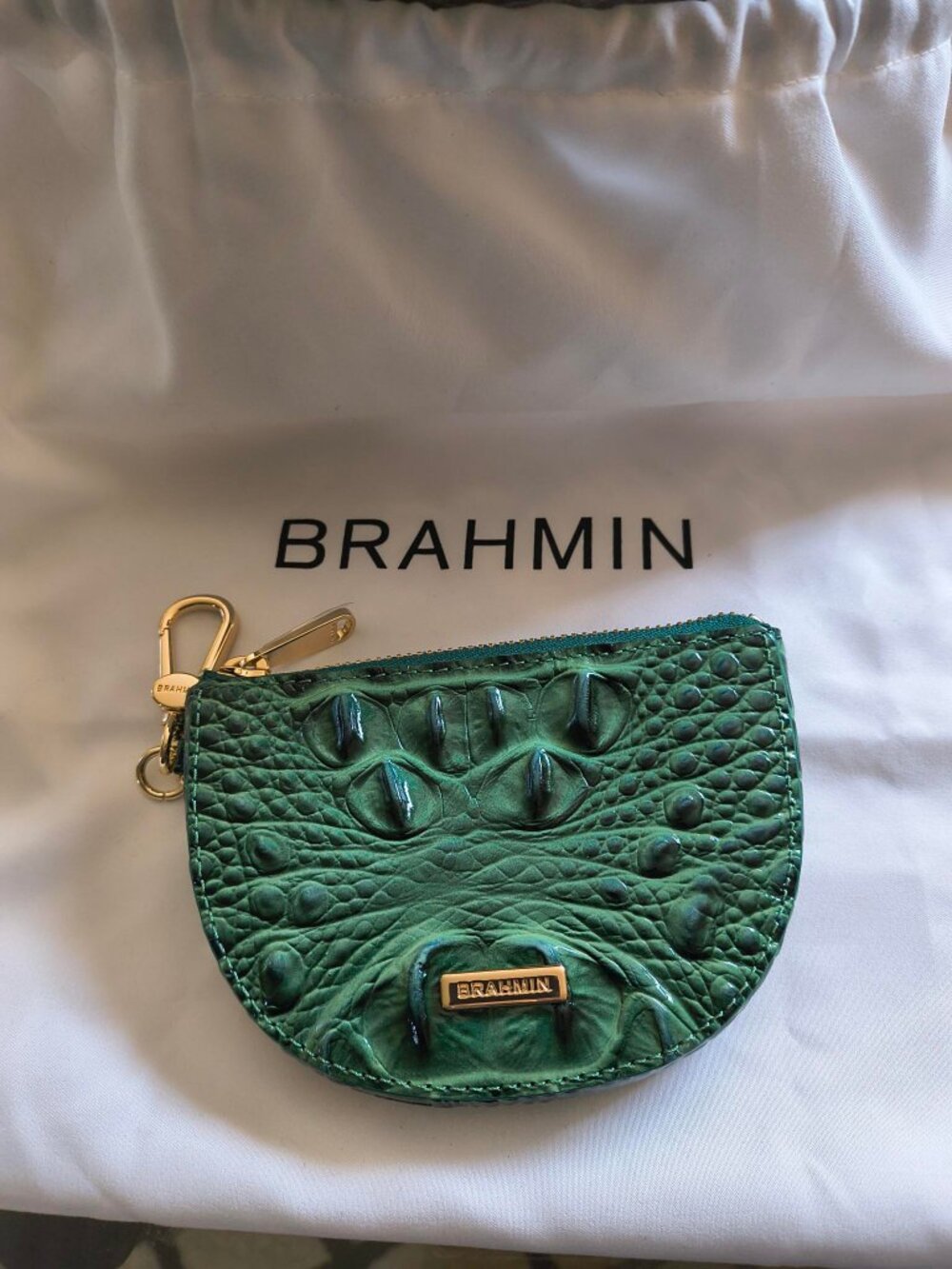 Brahmin Britt Coin Case, Parakeet Green